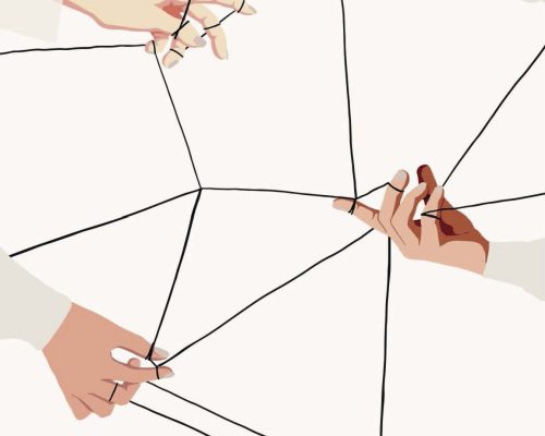 Secció 1+3 Projecte 5 Estratègia de recerca MHC